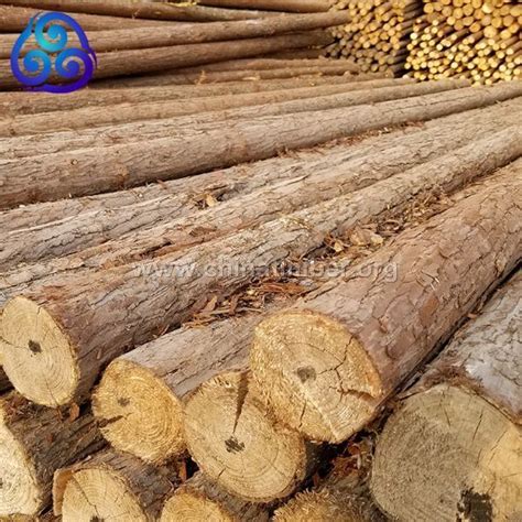 各种规格杉木原木香杉木3cm---板材原木_产品图片信息_中国木材网！
