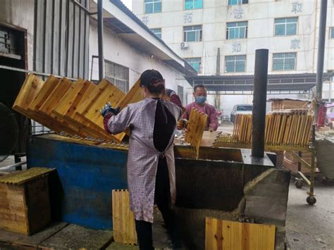 贵州锦屏木材加工厂生产忙 -木业网