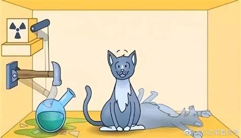 “薛定谔的猫”到底是什么逻辑？这只猫到底是死是活？