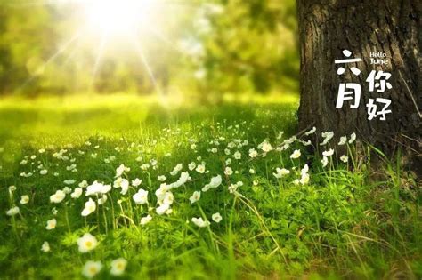 6月30日周三夏季最美早安问候语，最新漂亮早上好表情动态图祝福语大全2021_束清晨