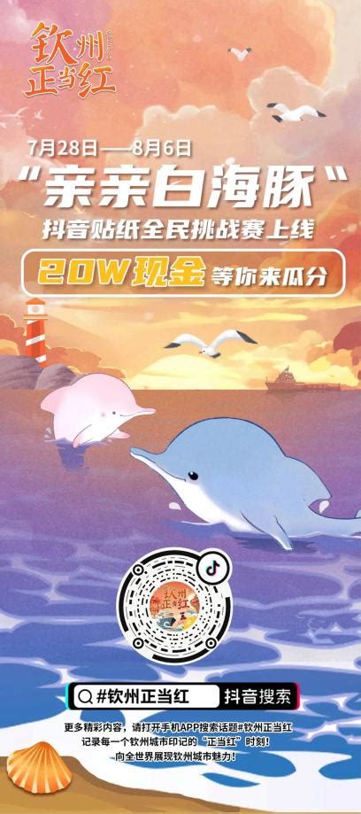 广西钦州三娘湾国际海豚公园摄影图__国内旅游_旅游摄影_摄影图库_昵图网nipic.com