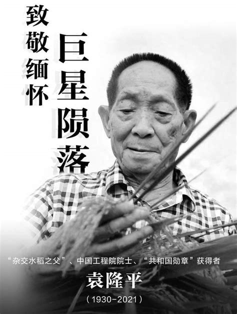 国人的骄傲！90岁高龄的袁隆平，每天都要奔波研究水稻，纪录片_腾讯视频