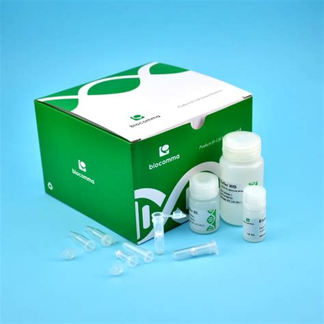 CommaXP™ PCR产物纯化试剂盒 - CommaXP™ DNA产物纯化及凝胶回收试剂盒 - 逗点生物