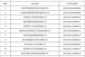 2024贵州重大项目名单 贵州省重大工程和重点项目名单
