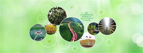 2019年中国农产品流通行业市场现状及发展趋势分析 农产品绿色物流将成为新增长点_前瞻趋势 - 前瞻产业研究院