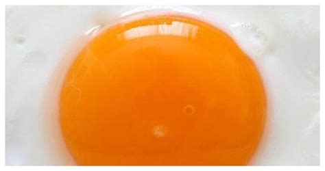 蛋黄颜色来自哪里？为什么鸡蛋颜色有深浅？哪些措施可以呢？