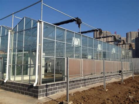 智能玻璃温室的特色-新闻中心-山东柏科阿姆农业科技股份有限公司