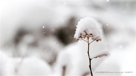 冬季下雪的场景图片素材-正版创意图片501106770-摄图网