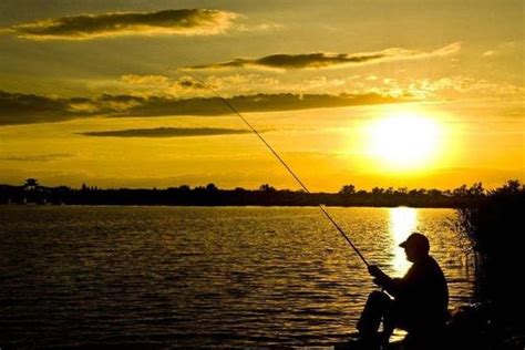钓鱼技巧大总结，春夏秋冬这样钓，学会后每个季节都能上更多鱼了