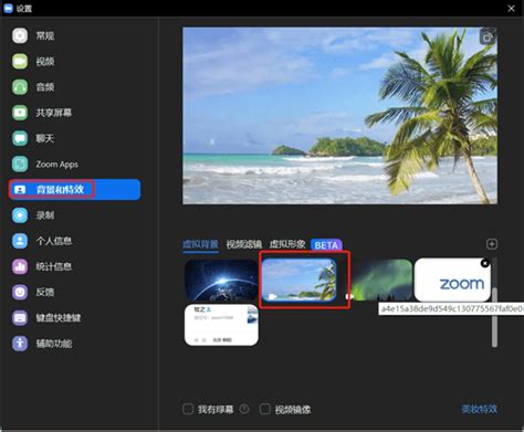 Zoom为什么没办法添加虚拟背景,Zoom虚拟背景如何设置_zoom_电脑_那台老