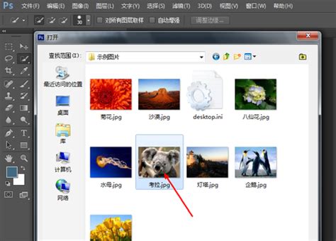 Photoshop7.0中文版教程