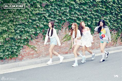 JYP 旗下的新女团人选终於传出了进一步消息 近日另行公布-新闻资讯-高贝娱乐