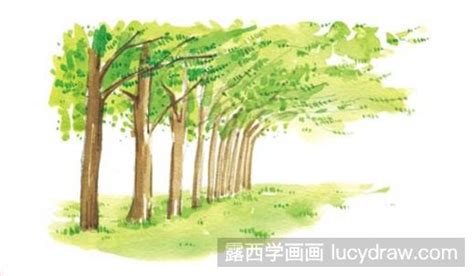 儿童画教程：怎么画小树林-露西学画画