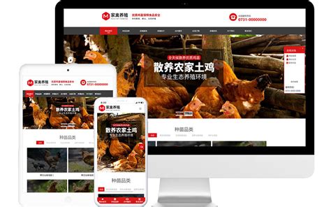 家禽养殖场网站建设|养殖场网站模板免费下载-易优CMS