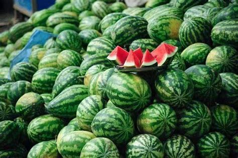 中国人每年吃掉160亿个西瓜，为什么外国人不爱吃？_中金在线财经号
