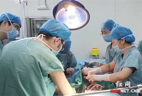 手术室开展手术体位安全摆放培训-陕西省人民医院