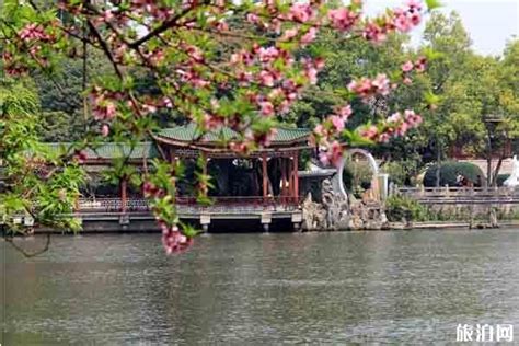广东潮州有一座慧如公园，环境优美，园中摩天轮可以俯览城市美景|潮州市_新浪新闻
