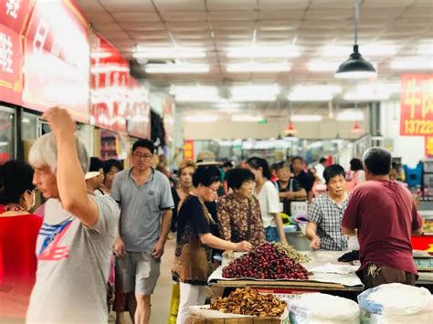 均价5元左右！夏季蔬菜上市量增多，菜价普遍下降_社会民生_新闻中心_上海市青浦区人民政府