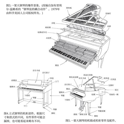钢琴内部构造特写高清图片下载-正版图片501783706-摄图网