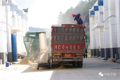 扬州市小麦示范片亩产创新高！亩产达714.2公斤！凤凰网江苏_凤凰网