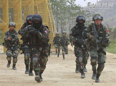 国防部：中柬联合训练巩固友谊 促进两军关系_军事_环球网
