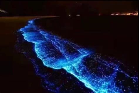 2021年2月21日晚上，惠州双月湾出现蓝色荧光海滩奇观！ - 必经地旅游网