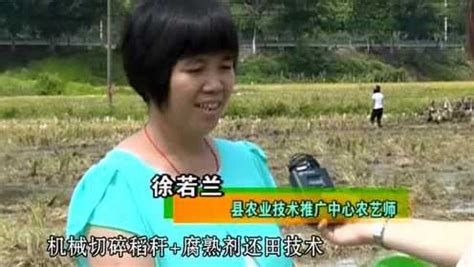 CCTV农广天地关于黑果腺肋花楸的介绍_腾讯视频