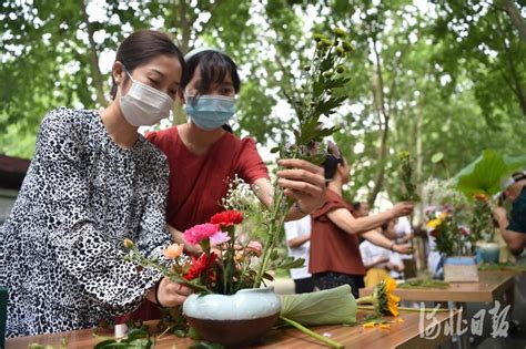 生科学子用70种植物图册献礼新中国成立70周年-四川农业大学-生命科学学院
