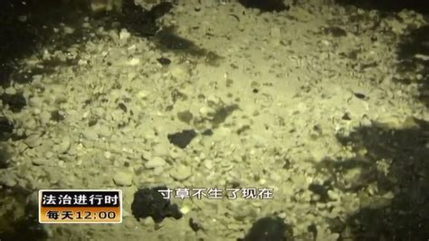 一滴废机油污染一片水 污染环境被刑拘_腾讯视频