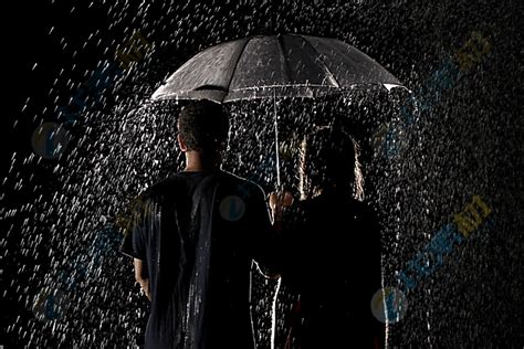 黑白打伞背影图片,黑白打雨伞图片,雨中撑伞背影图片_大山谷图库