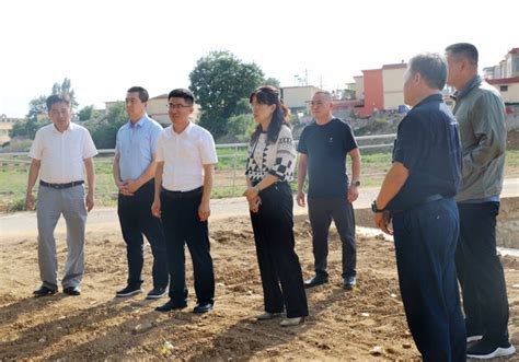 东沙河街道---滕州市人民政府官方网站