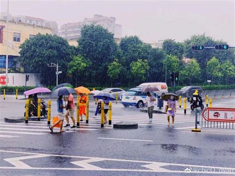 暴雨天气安全指南，关键时刻能救命-上海市虹口区人民政府