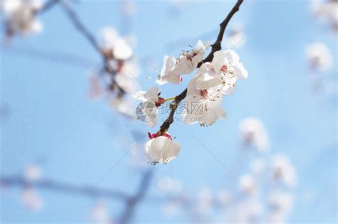 A动态图图片