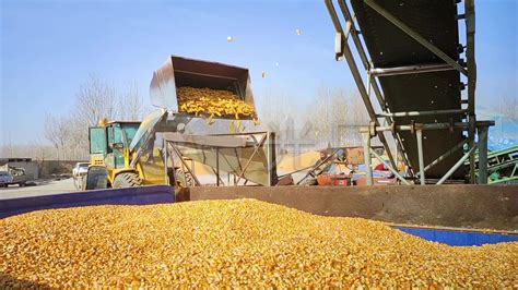 玉米 生意宝-产业链