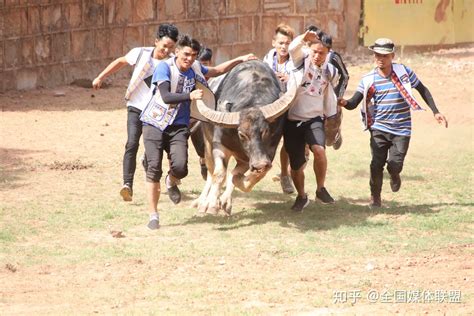 中国·石林首届国际金牛文化旅游艺术节开幕 - 知乎