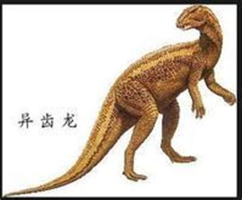 异齿龙图片