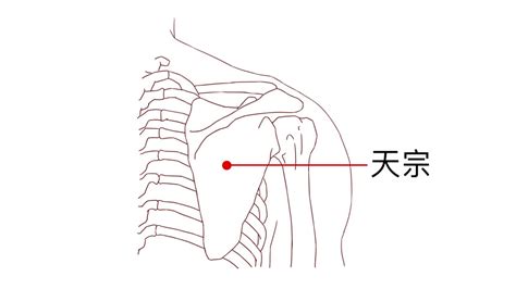 天宗的准确位置图图片 天宗的准确位置图图片