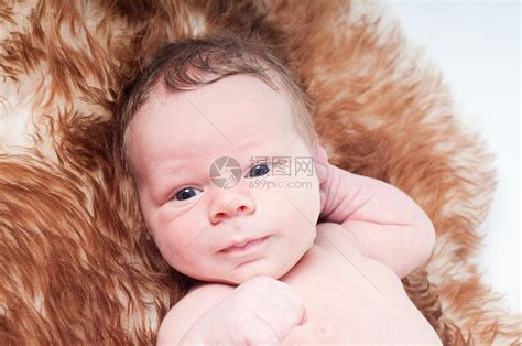 生在毛皮上的新出生婴儿高清图片下载-正版图片320817926-摄图网
