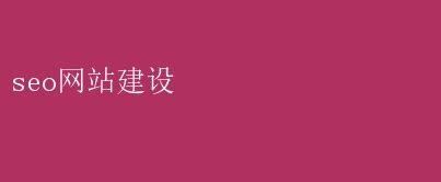 SEO优化网站建设：打造高效排名新策略 seo网站建设 _ 【IIS7站长之家】