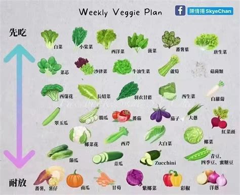 蔬菜名称大全和图片,100种蔬菜名字大片,蔬菜图片大全(附名称)_大山谷图库