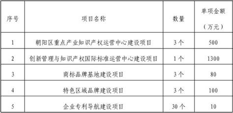 北京市朝阳区市场监督管理局朝阳区知识产权运营服务体系建设财政补助类项目遴选服务的公告