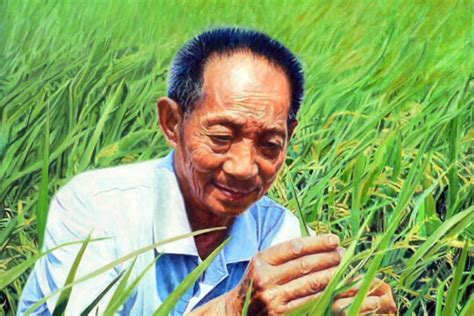 袁隆平的新目标：研发口感好、多养活2亿人的“海水稻”__财经头条