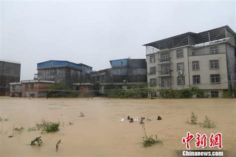 合浦两村庄被淹，消防紧急救援转移235名群众，还有12头牛！