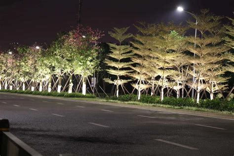 市政景区亮化照树灯 - 抱树灯 - 杰力赛照明