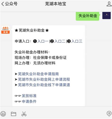 芜湖失业补助金一个月多少钱2022年- 芜湖本地宝