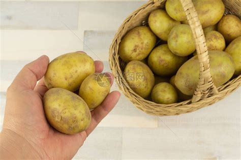 女人拿土豆从一个有土豆的鸡蛋篮子上高清图片下载-正版图片503842460-摄图网