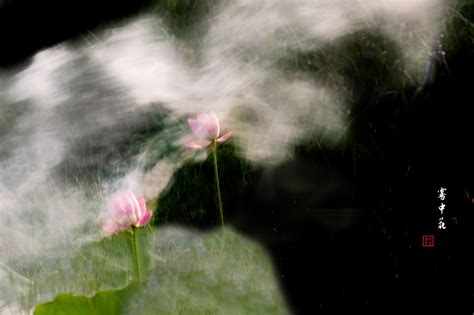 【雾里看花】-麻辣摄影-麻辣社区