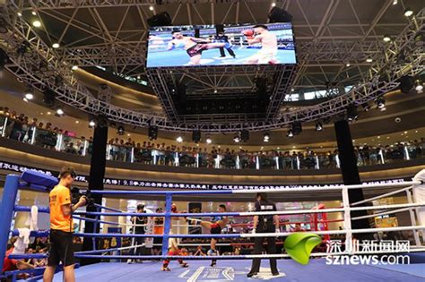 2022年陕西省自由搏击锦标赛在西安开赛 - 西部网（陕西新闻网）