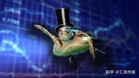 海龟法则是指什么？海龟交易法则的要点与不足- 股市聚焦_赢家财富网