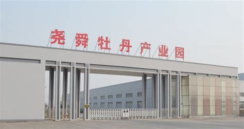 中川牡丹产业集团实业结构 - 企业新闻 - 产业资讯